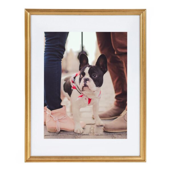 Kate and Laurel Adlynn 14 in. x 18 in. matted to 11 in. x 14 in. Gold Picture Frames (Set of 3)