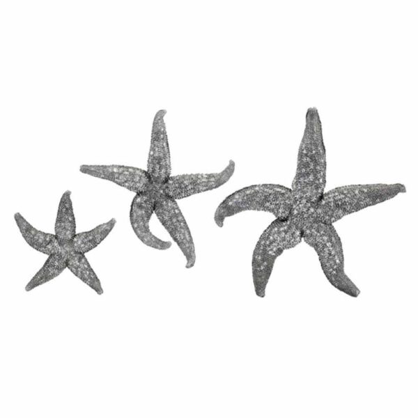IMAX Magali Silver Starfish Wall Decors (Set of 3)
