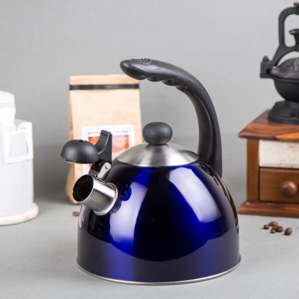 Creative Home Rhapsody 2.1 Qt. (8.4 Cup) Stainless Steel Whistling Tea Kettle with Metallic Blue Powder Coating