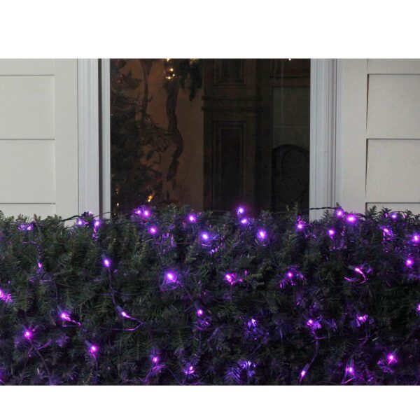 Northlight 4 ft. x 6 ft. Purple LED Net Style Christmas Lights with Green Wire