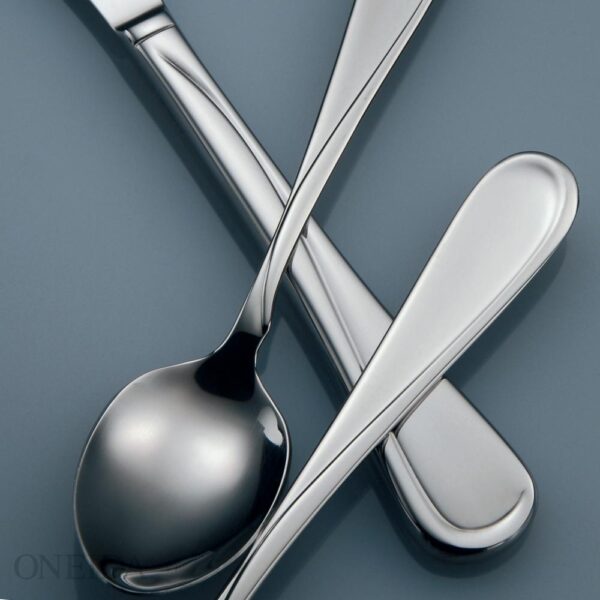 Oneida Flight 18/8 Stainless Steel Tablespoon/Serving Spoons (Set of 12)