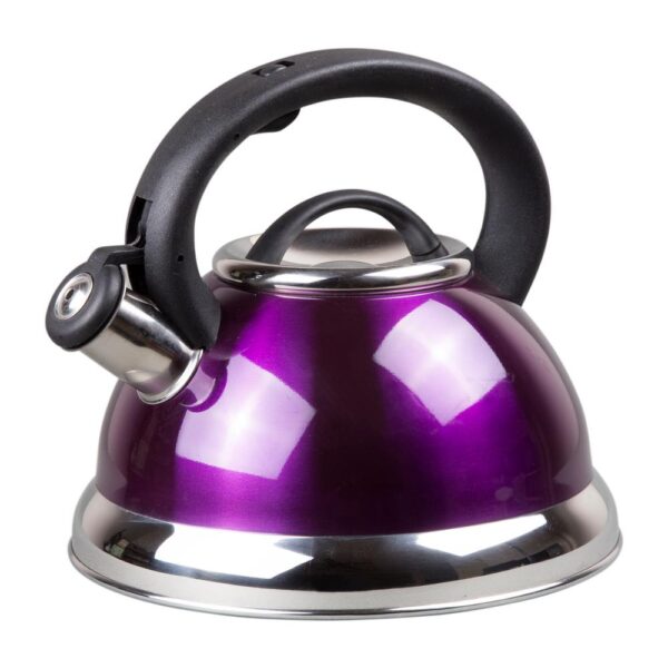 Creative Home Alexa 12-Cup Stovetop Tea Kettle in Purple