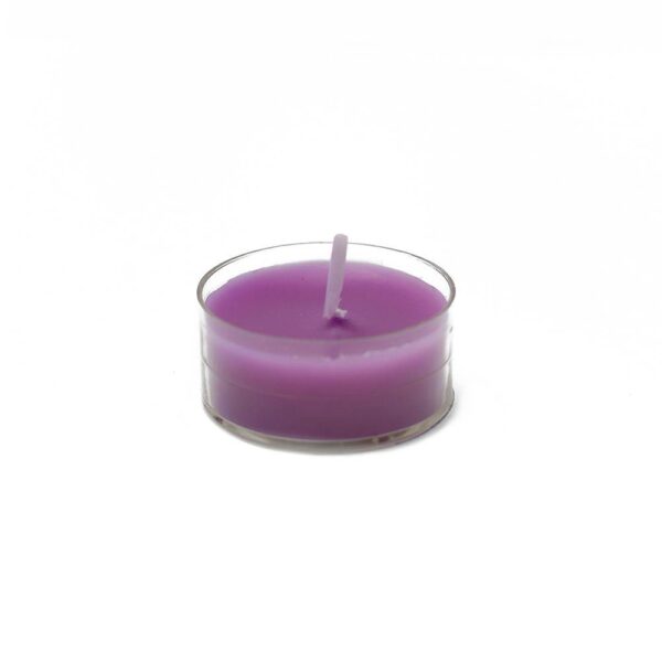 Zest Candle 1.5 in. Purple Tealight Candles (50-Pack)