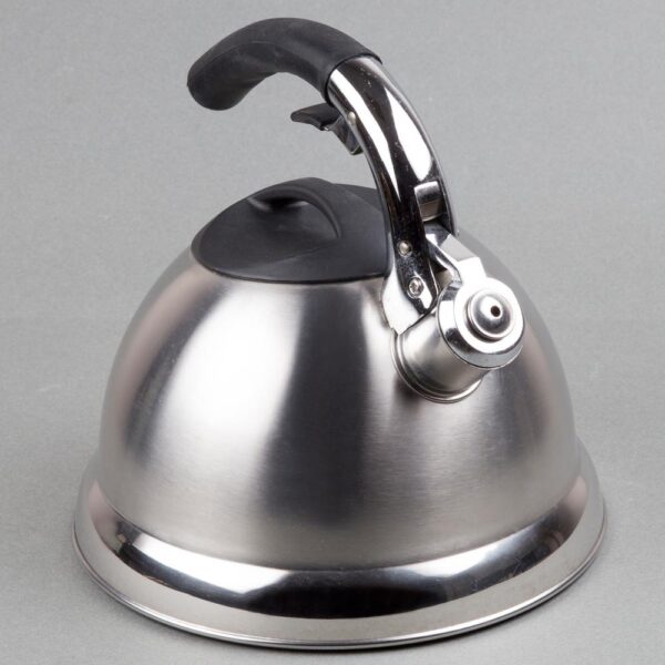 Creative Home Avalon 12-Cup Stovetop Tea Kettle in Silver