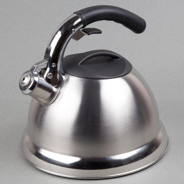 Creative Home Avalon 12-Cup Stovetop Tea Kettle in Silver