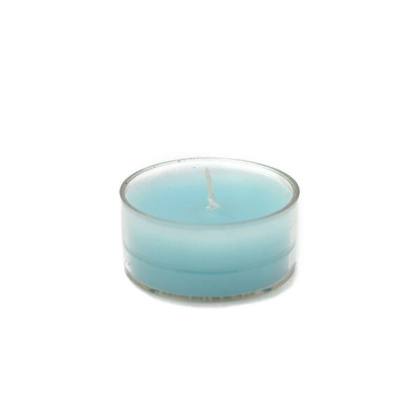 Zest Candle 1.5 in. Turquoise Blue Tealight Candles (50-Pack)