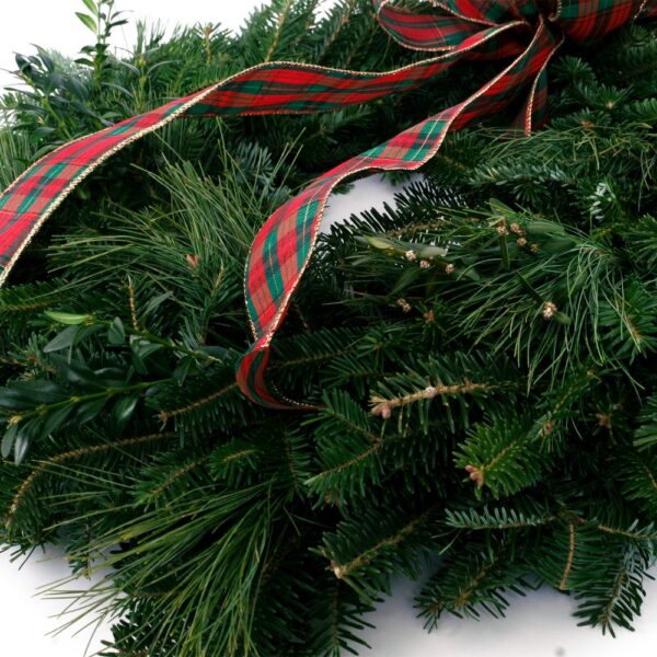 VAN ZYVERDEN 24 in. Live Fresh Cut Blue Ridge Mountain Mixed Christmas Wreath with Bow