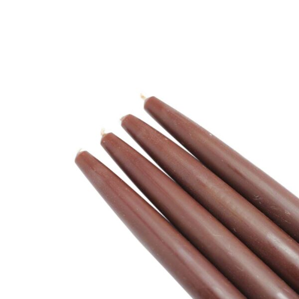 Zest Candle 6 in. Brown Taper Candles (Set of 12)