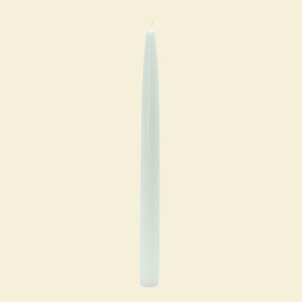 Zest Candle 10 in. White Taper Candles (12-Set)