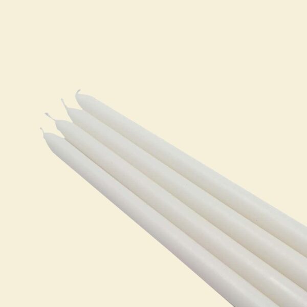 Zest Candle 12 in. White Taper Candles (12-Set)