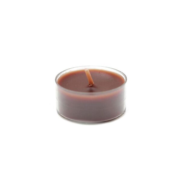 Zest Candle 1.5 in. Brown Tealight Candles (50-Pack)